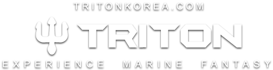 TRITON KOREA